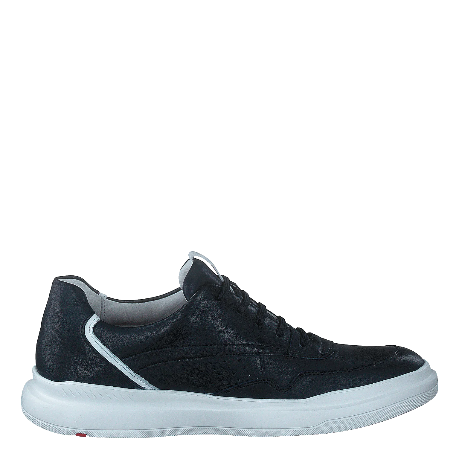 Arrigo Midnight/white