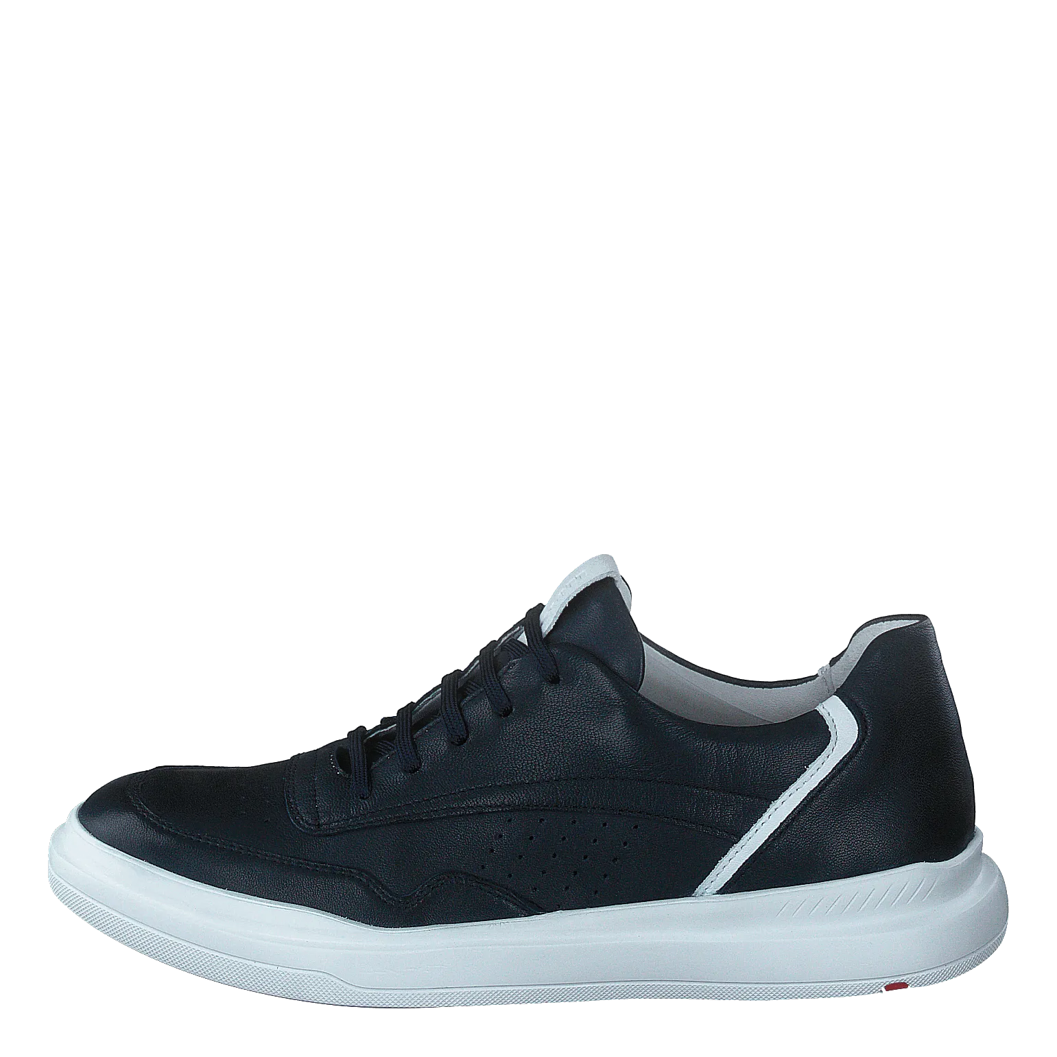 Arrigo Midnight/white