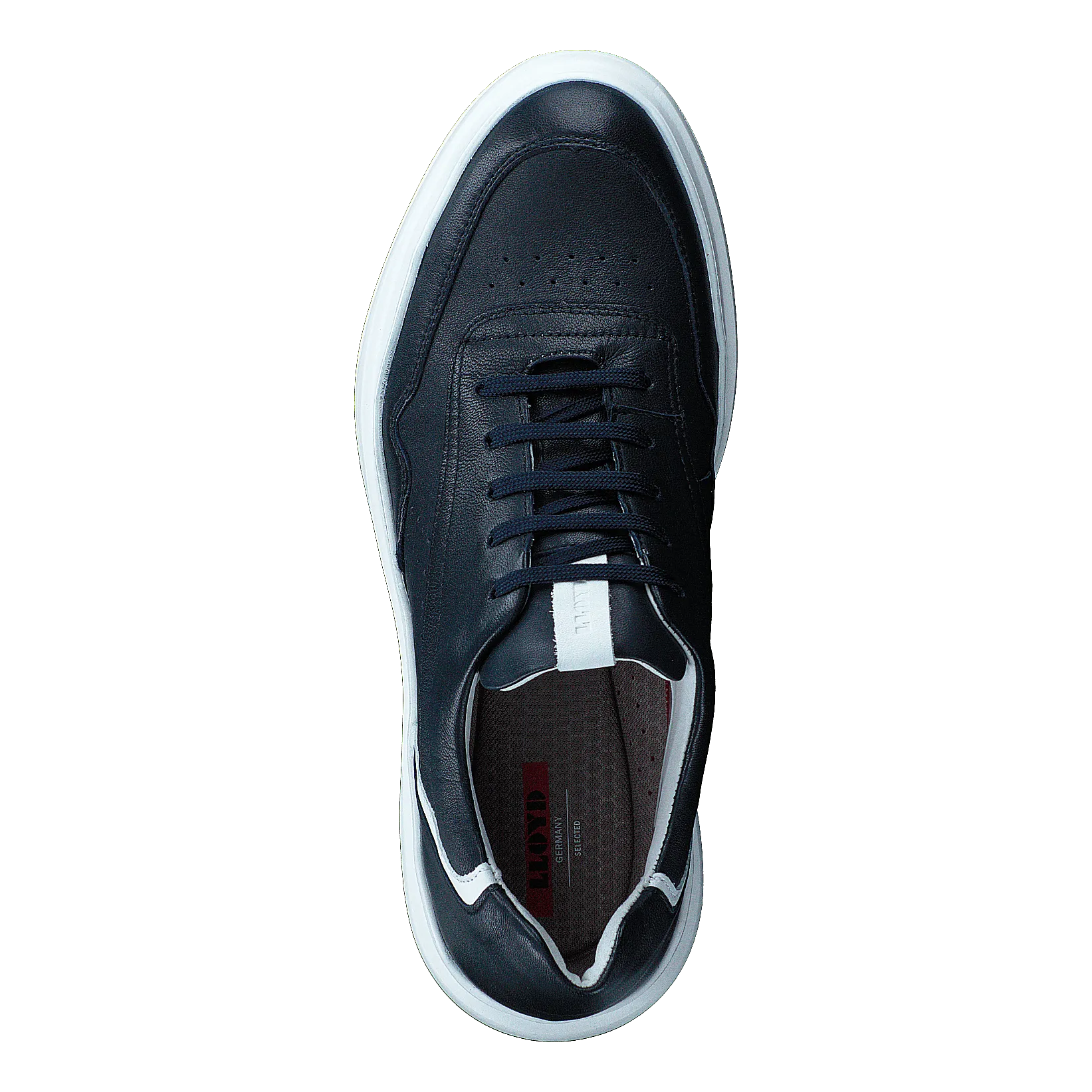 Arrigo Midnight/white