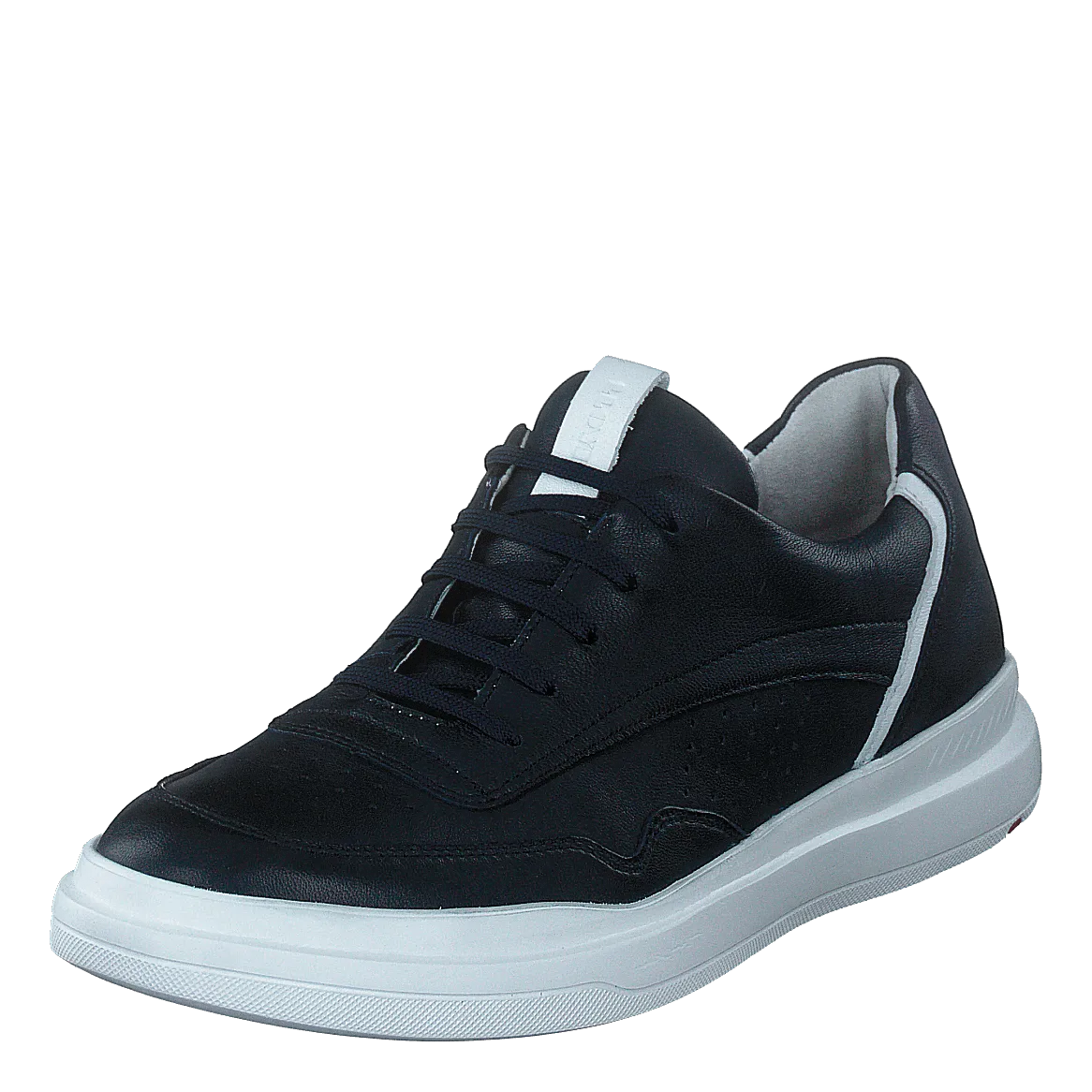 Arrigo Midnight/white