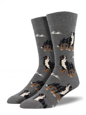 Bernese Mountain Dog Socks (Men's)